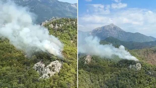 Antalya'da orman yangını! Ekipler müdahale ediyor)