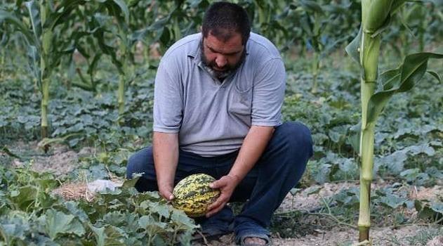 Kimyasal ve pestisiti tamamen hayatından çıkardı! Müşteriler satın almak için bahçeye akın ediyor)