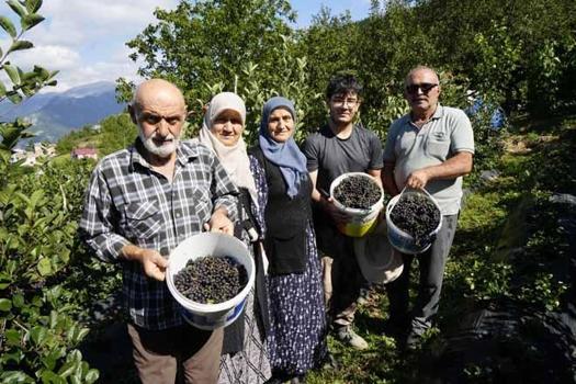 Fındığın alternatifi oldu! “Felç geçirdim, bu meyve beni iyileştirdi” diyen vatandaş şifa kaynağını açıkladı)