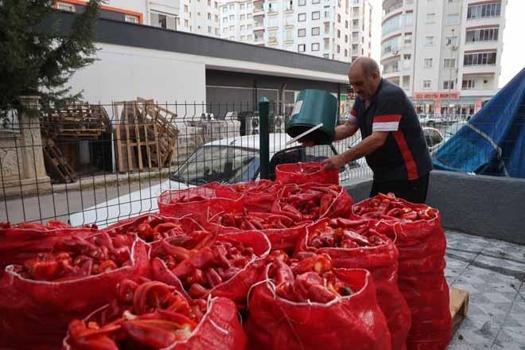 Adana'da damlar şarkılarla türkülerle kırmızıya boyandı! Kilosu 400-450 TL'yi buluyor)