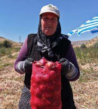 Ata tohumundan yetiştiriliyor, hasadı sadece 20 gün sürüyor! Kilosu 30 TL, lezzetine doyum olmuyor)
