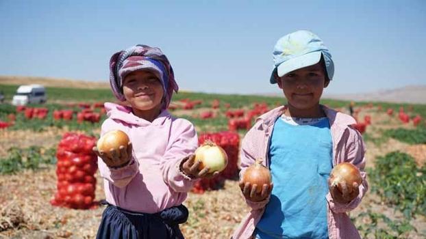 Kuraklık ekim alanını düşürdü ama üretim durmadı! Günde 200 ton çuvallanıyor!)