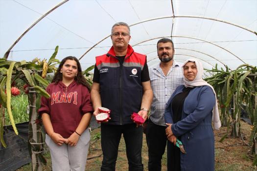Fındığa rakip çıktı! Samsun'da üretiliyor, getirisi diğerlerine göre çok yüksek)