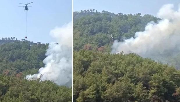 Adana’da orman yangını! Alevlere havadan ve karadan müdahale ediliyor)