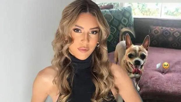 Sinem Kobal'ın patili dostu hayatını kaybetti! 'Tüm koşulsuz sevgin için teşekkürler oğlum')