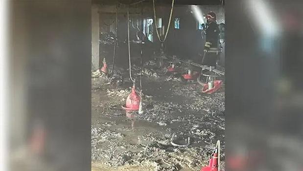 Bolu Mudurnu'da kümes yangını! Yüzlerce hindi telef oldu)