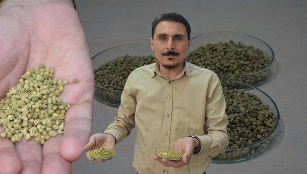 Ezber bozan araştırma! Antibiyotiklere direnç geliştiren kekik: 'Reçeteyle satılmalı')