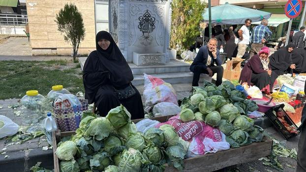 Giresun'da fındık yetişmeyen tek ilçede altın değerinde hasat başladı! 'Alucra kelemi' tescilleniyor)