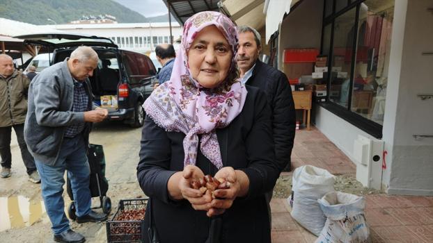 Sinop'ta kestane hasadı başladı! Fiyatı dudak uçuklattı)