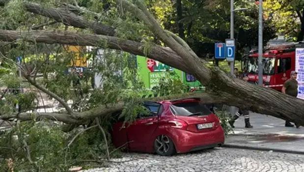 Şişli Harbiye’de şiddetli rüzgar ağacı otomobilin üzerine devirdi)