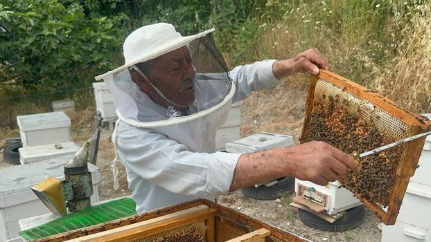 Bursa’dan İngiltere ve Avusturya’ya uzanan lezzet yolculuğu: Tam 20 yıldır Avrupa'nın ağzını tatlandırıyor)