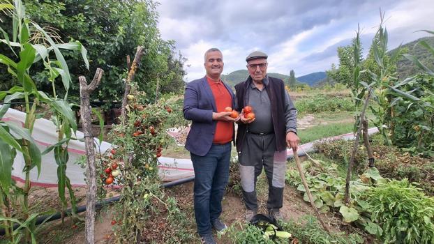Dededen toruna kalan en büyük miras! Manisalı çiftçi o tohumu geleceğe taşıyor: Lezzeti tamamen farklı)