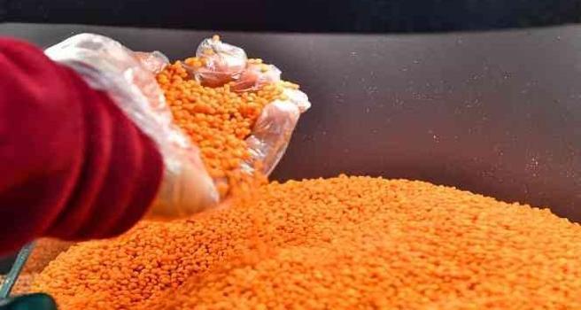 Mercimekler yıkanmalı mı, yıkanmamalı mı? Çorbanın tadını etkiliyormuş)