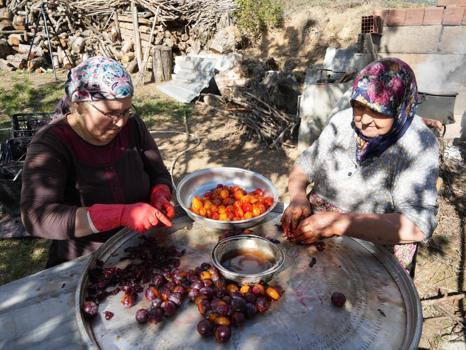 Osmanlı mutfağının vazgeçilmez meyvesi! Bağırsakları anında çalıştırıyor, kansere karşı etkisi kanıtlandı)