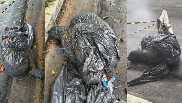 Kan donduran tablo! 7 farklı mekan, 7 ceset: Ülkede seri katil paniği)