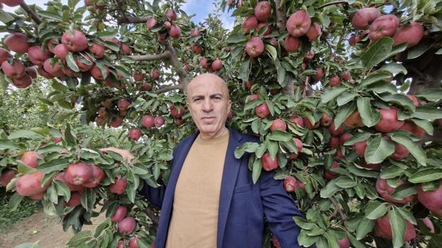 Karaman’da yaşanan bolluk fiyatları düşürdü: Dalında 25 liradan 10 liraya geriledi)