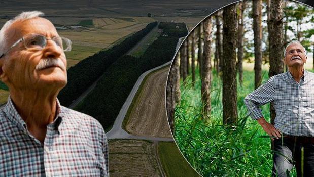 ​55 yıl önce rayların kenarına dikmişti: Yıllar sonra geri dönünce gözyaşlarını tutamadı!)