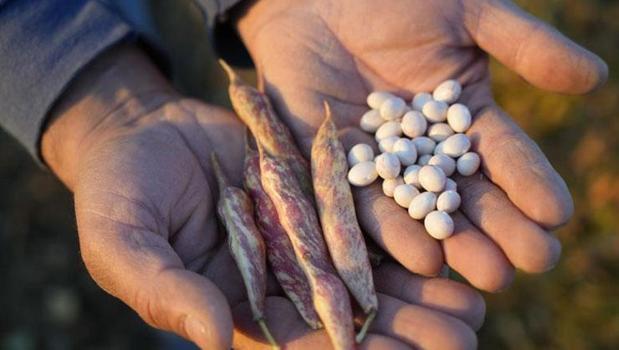 Hasadı başladı, yok satıyor! Kelkit'in rekorlu lezzeti ulusal marketlerden sonra Avrupa'ya açılıyor)