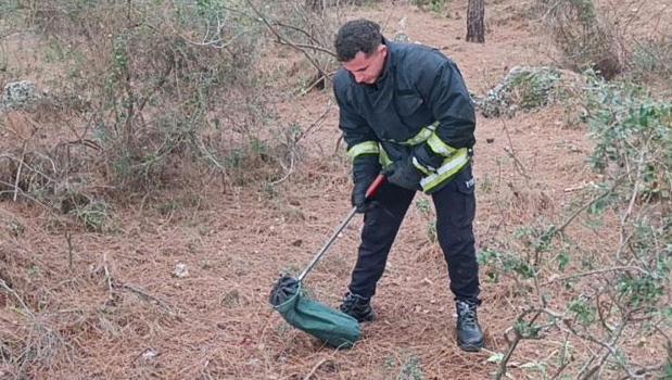 2 metrelik yılan paniği! Merdivenin altında buldular)