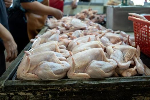 Sarı mı yoksa beyaz derili Mi? Uzmanlar en sağlıklı tavuğu açıkladı)