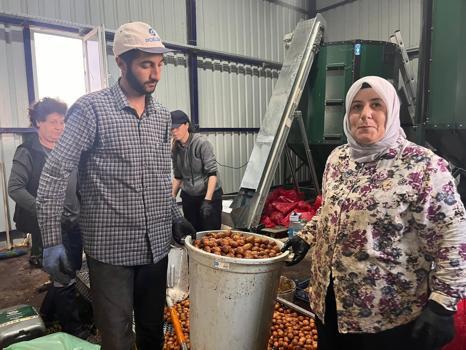 Buğday ekenler pişman olacak! Tarlada servet yatıyor: Yıllık tam 200 ton satacak...)