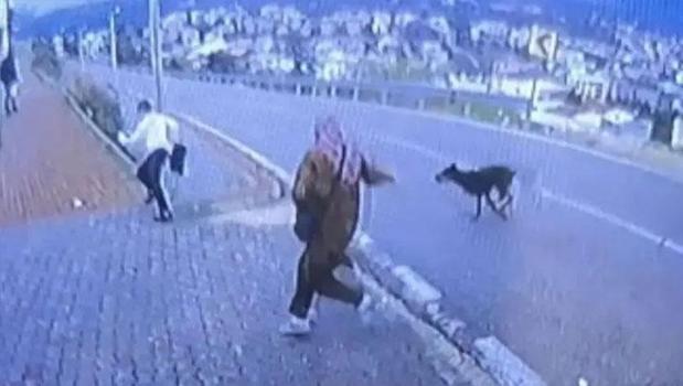 Bursa'da korku dolu anlar! Köpekten kaçmaya çalışan çocuk bacağını kırdı)