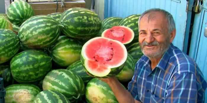 Yaz bitti, karpuz hasadı bitmedi! Gaziantep’te emekçilerin mesaisi devam ediyor, Türkiye'nin dört bir yanına gönderiliyor)
