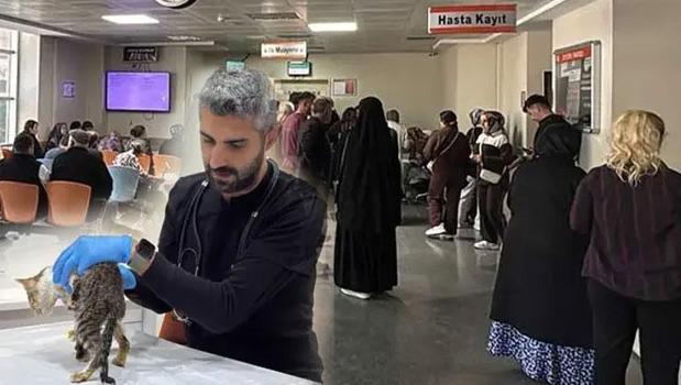 Tokat’ta 5 bin kişiyi hastanelik eden salgında evcil hayvan detayı!)