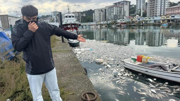 Rize’de tepki çeken görüntüler! Palamut skandalı mahalleliyi canından bezdirdi)