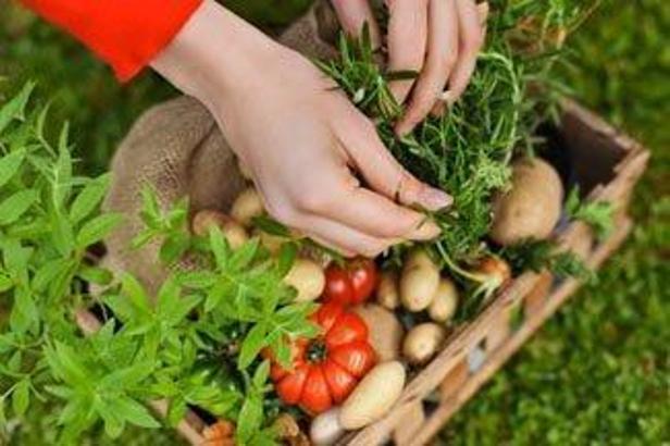 Kansere karşı bol sebze