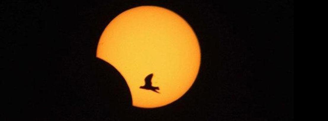 Yar&#x131;n astronomik olaylar g&#xFC;n&#xFC;!