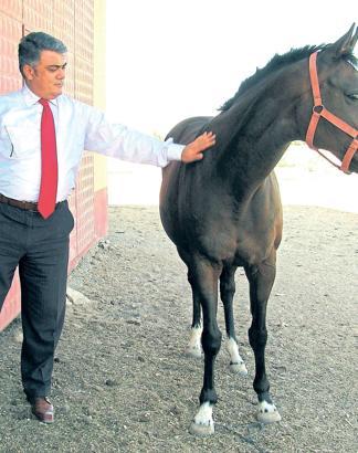 Hedefimiz dünya markası yaratmak