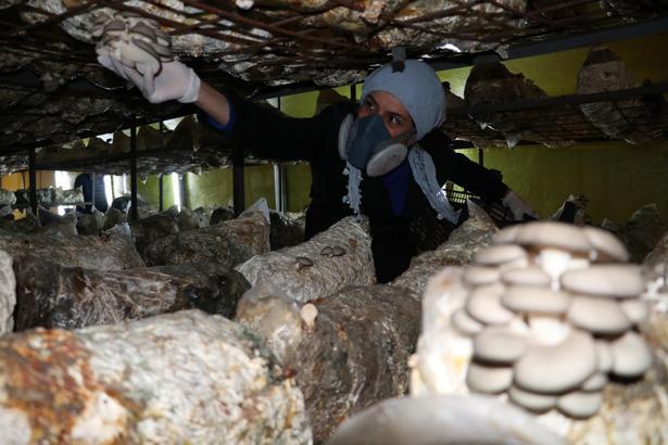 'Eşimin eline bakmak istemiyorum' dedi, patron oldu