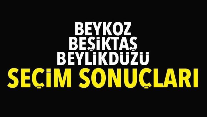 İstanbul: Beşiktaş, Beykoz, Beylikdüzü 2019 yerel seçim sonuçları... Oy oranları