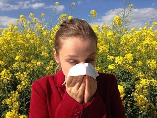 Alerjik bünyeliyseniz dikkat! Polenler sinüziti de tetikliyor