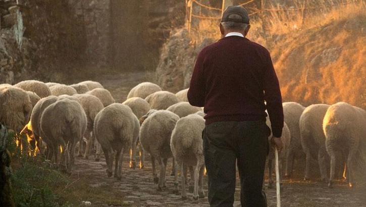 'Köye dönüş' destekleri