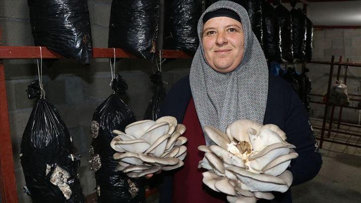 Evinin odasında yetiştirdiği mantarlara yoğun talep