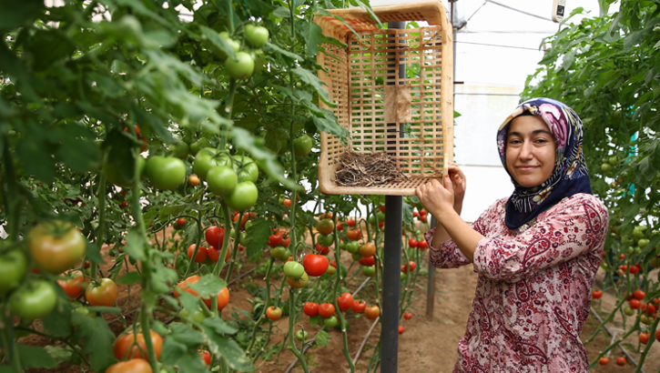 Eşinin dolandırıldığı mesaj, girişimci kadının hayatını değiştirdi! İşinin patronu oldu