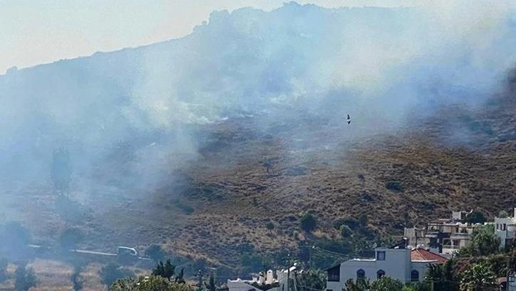 Bodrum'da makilik alanda yangın
