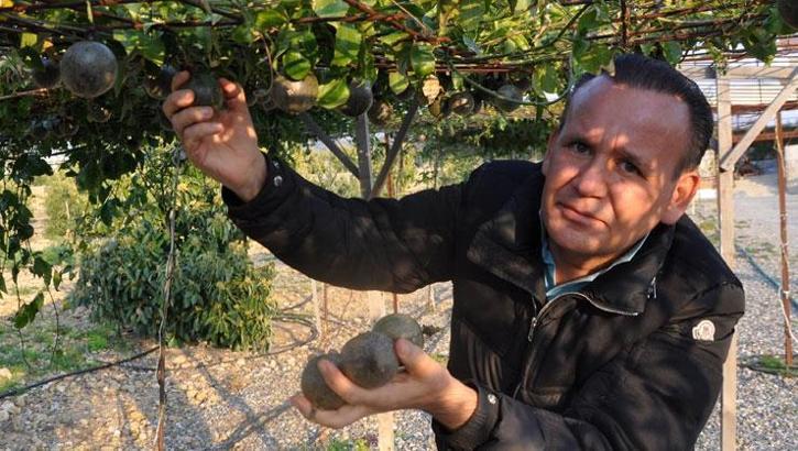 Antalya'da üretiliyor! Ülkeler sırada... 150 bin lira geliri var...