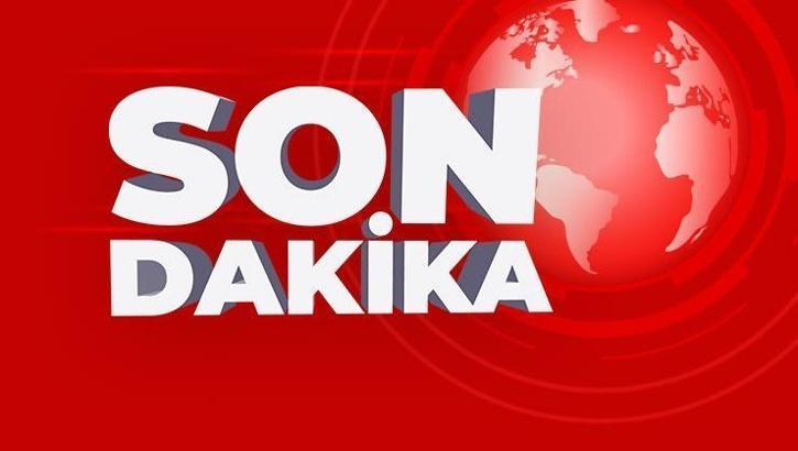 Nijer'de anaokulunda yangın çıktı, 20 çocuk hayatını kaybetti