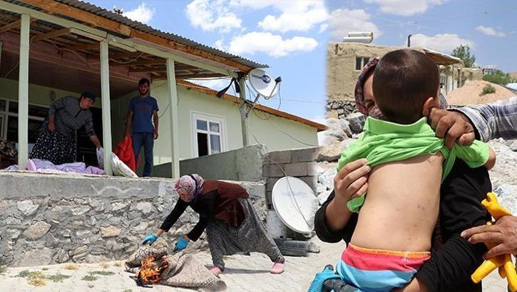 Van'da mahalle sakinlerini isyan ettiren istila! Geceleri ortaya çıkıyorlar...