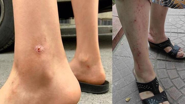 Son dakika: İstanbul'da kabus yayılıyor! Etrafı mosmor oldu