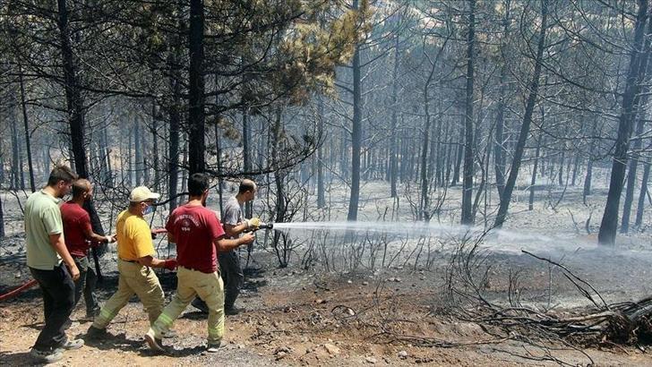 Son dakika: Uşak'taki orman yangını kontrol altına alındı