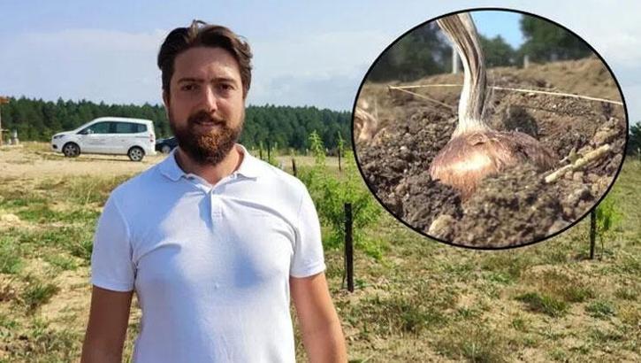 Bilgisayar mühendisi tarlasında yapay zeka kullandı! Ürünün kilosu 50 bin lira!