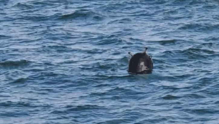 Son dakika: Karadeniz'de ikinci mayın! MSB duyurdu