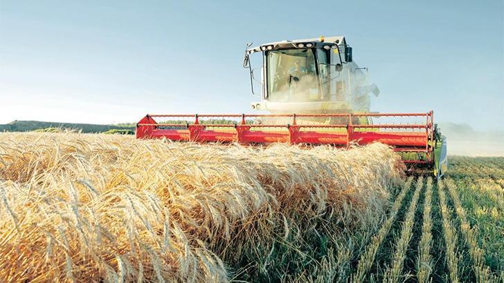 8 milyon hektar tarım alanı Çiftçi Kayıt Sistemi'nde yok - Ekonomi Haberleri