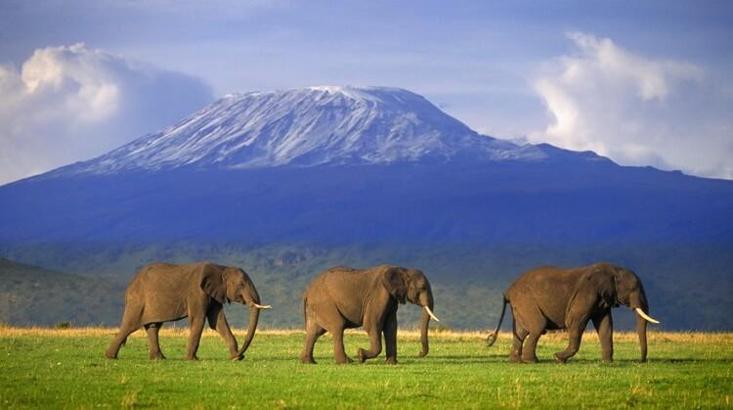 Kilimanjaro Dağı'na yüksek hızlı internet bağlandı