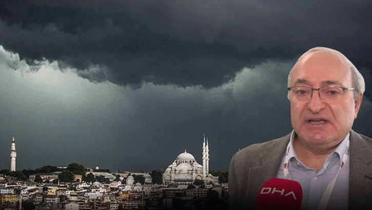 Felaket senaryosu! İki böcek türünde artış var, biri dünyanın en tehlikelisi