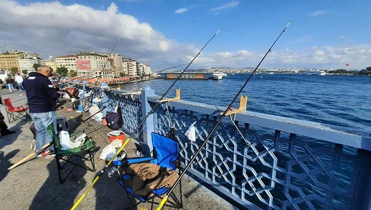 Marmara Denizi için tehlike çanları çalıyor: İstilacı türler kapıda